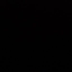 Meet your Posher, Alysia